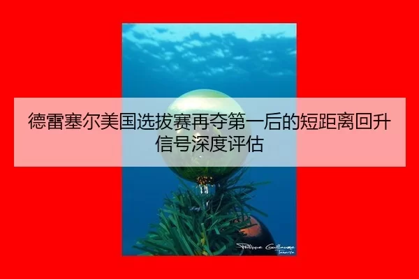 de-lei-sai-er-mei-guo-xuan-ba-sai-zai-duo-di-yi-hou-de-duan-ju-li-hui-sheng-xin-hao-shen-du-ping-gu-2-789.jpg